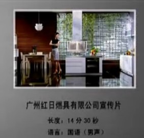 红日灶具 